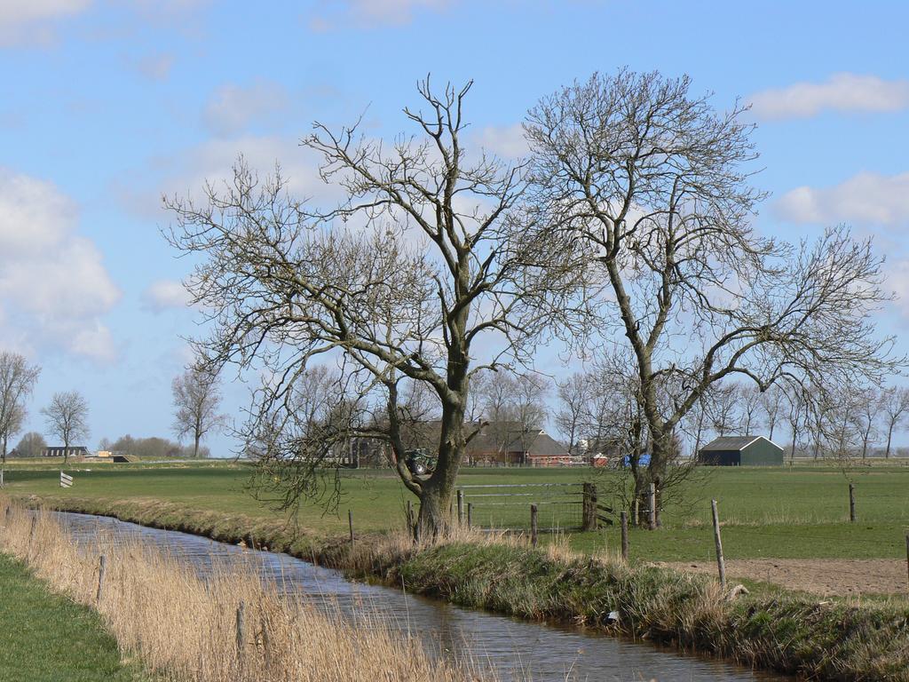 Groningen Buiten B&B Zuidhorn Екстериор снимка