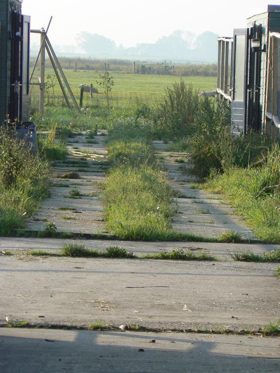 Groningen Buiten B&B Zuidhorn Екстериор снимка