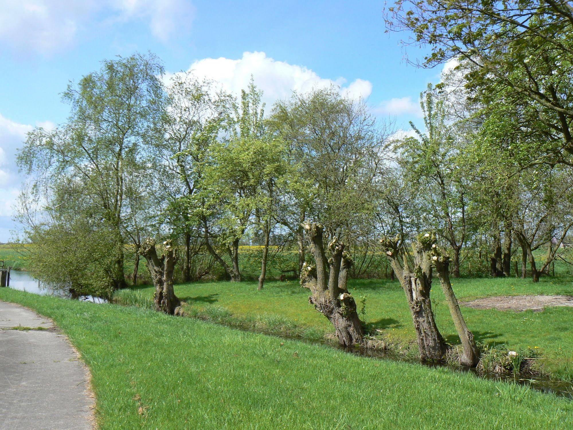 Groningen Buiten B&B Zuidhorn Екстериор снимка